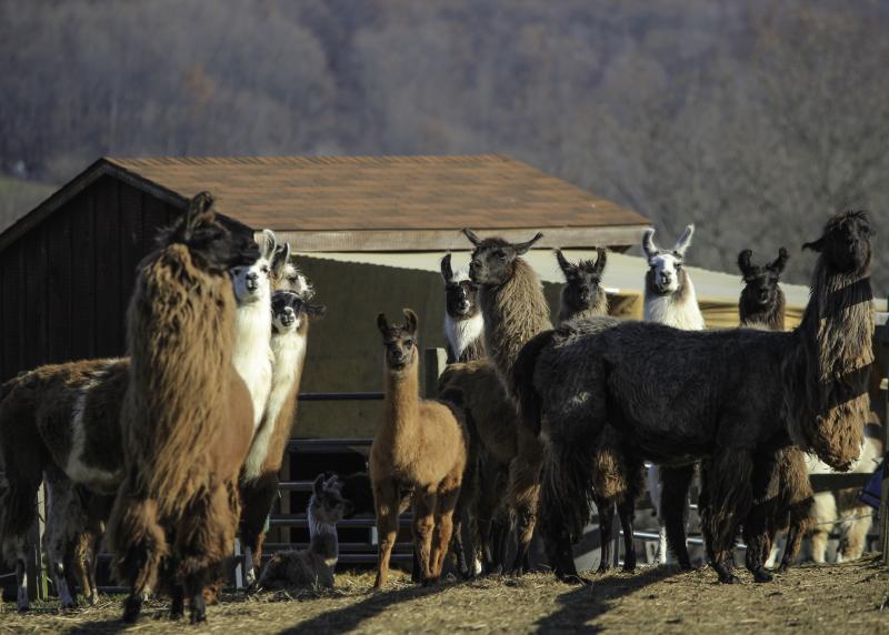 Photo by Jim Ingraham